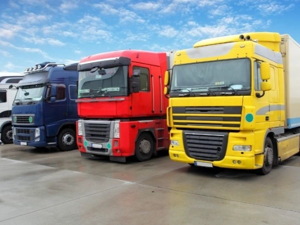 İzmir Bodrum Nakliye